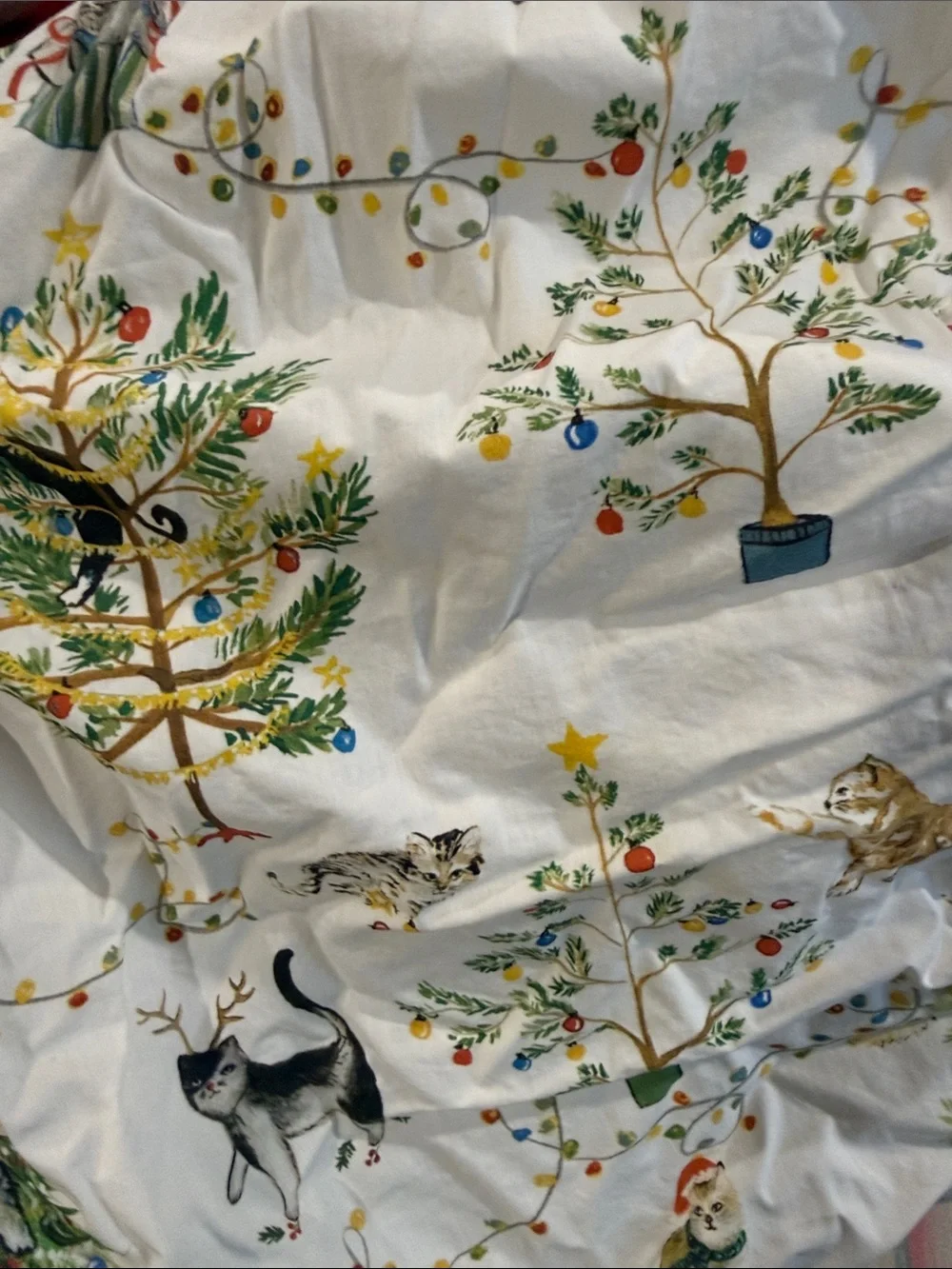 Pottery Barn Cotton Queen Sheet Set  Print Holiday Flat fitted 2 Pillowcases